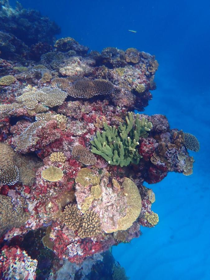 Fiji Lodge Vosa Ni Ua Savusavu Kültér fotó