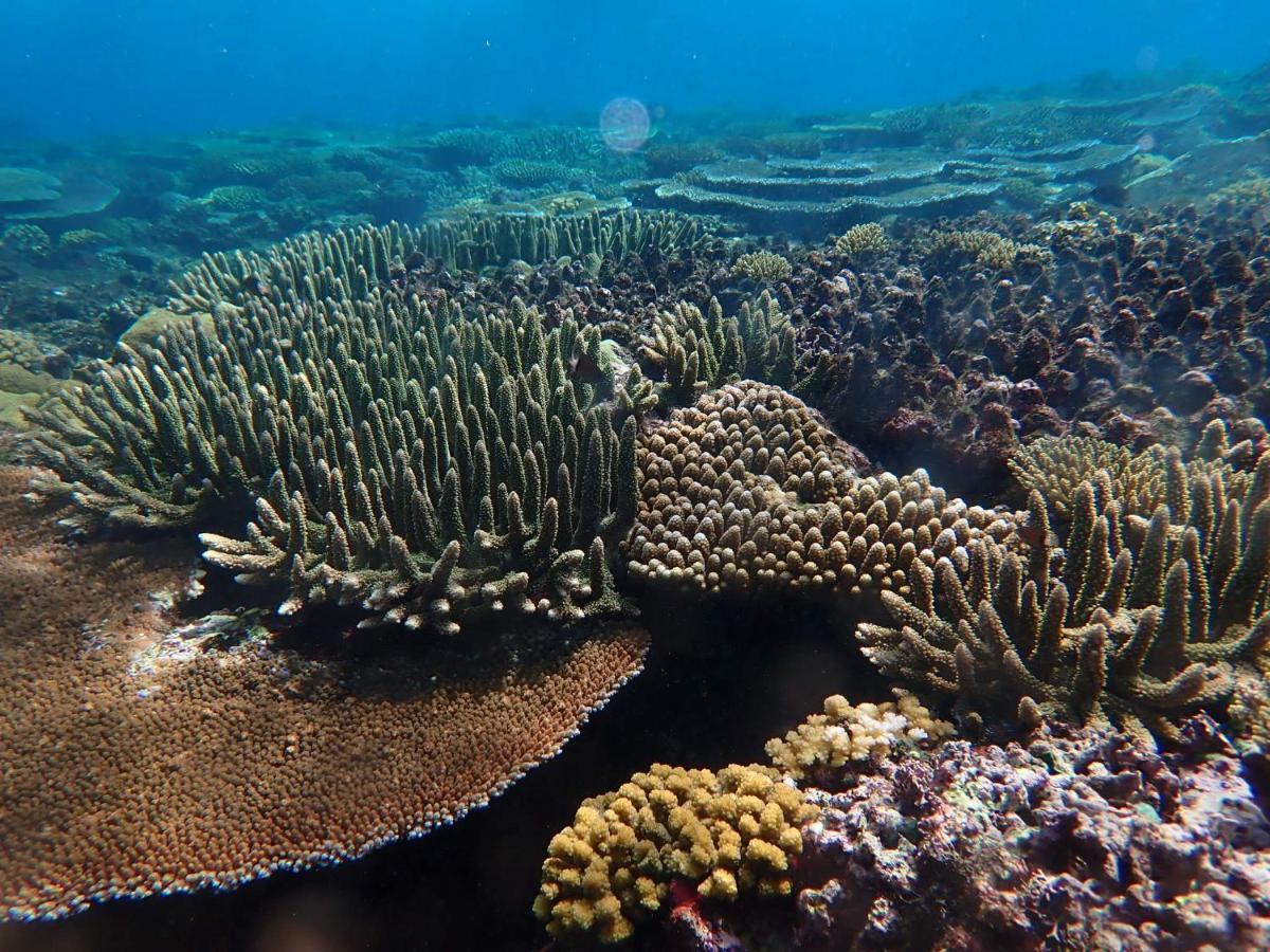 Fiji Lodge Vosa Ni Ua Savusavu Kültér fotó